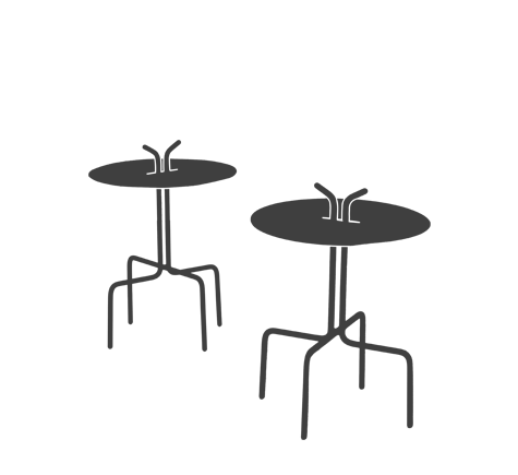 formiga antenas
